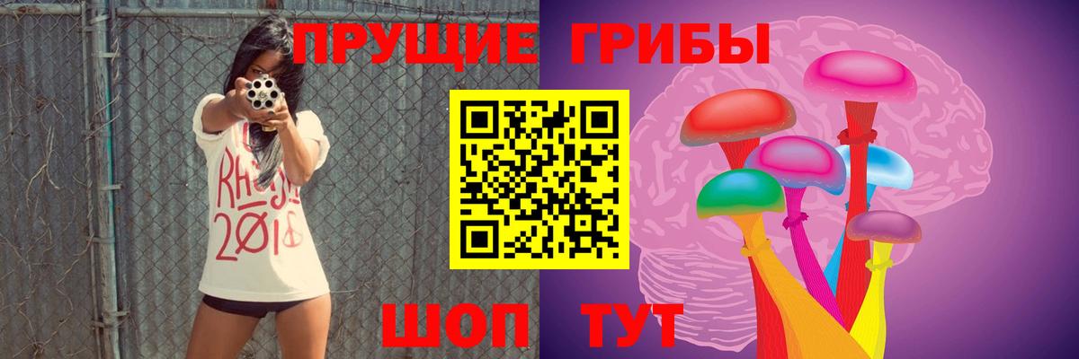 Донецк  Галлюциногенные грибы ЛСД  Вход с VPN  Галлюциногенные грибы GOLDEN TEACHER 